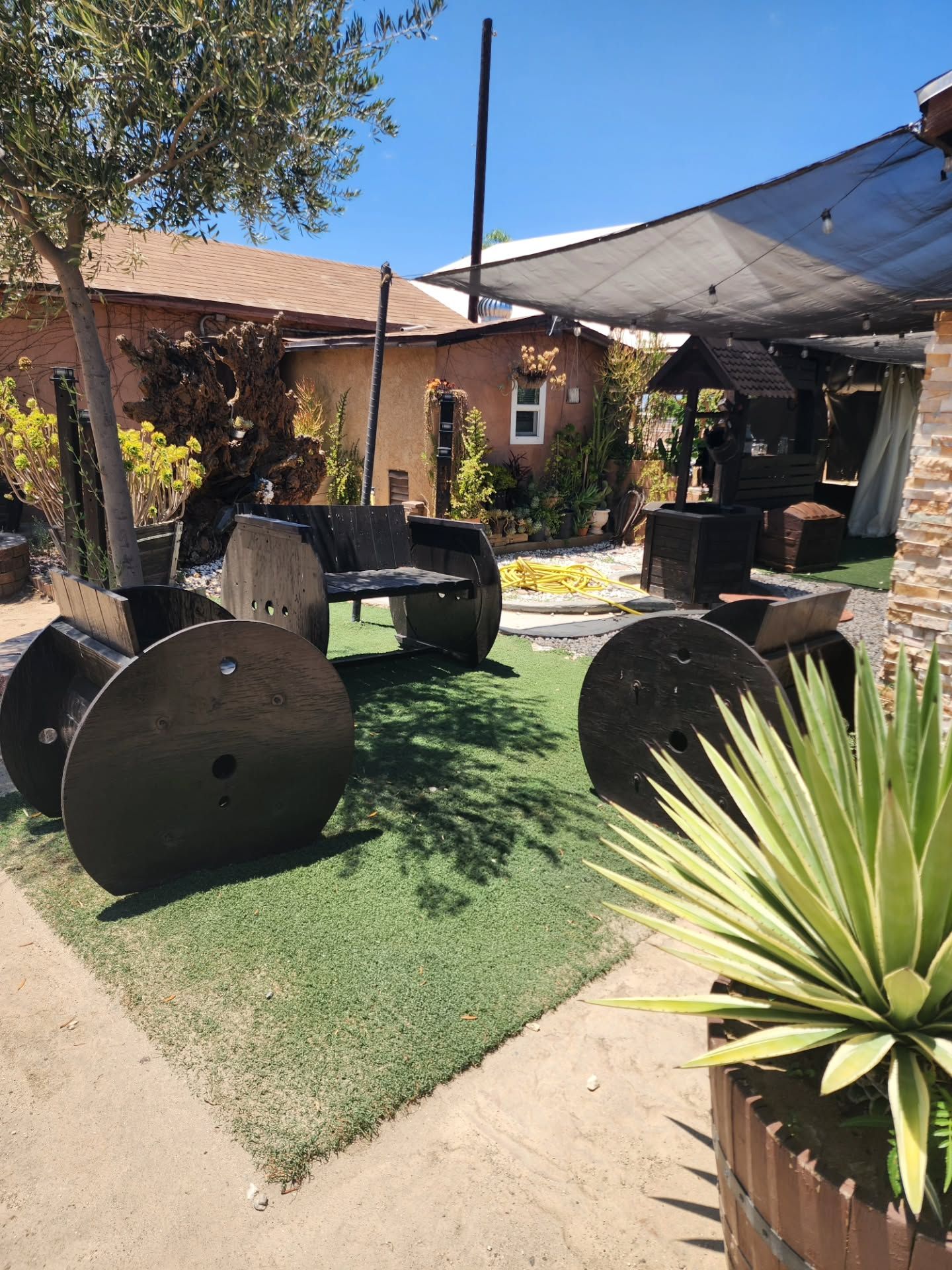 lyfeofthepartyrental  quince 1781571836 3920426068659839658 30378467935